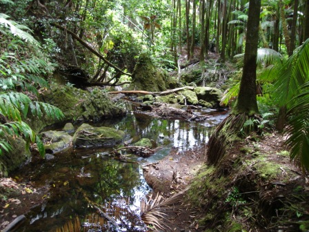 River in Hawaii